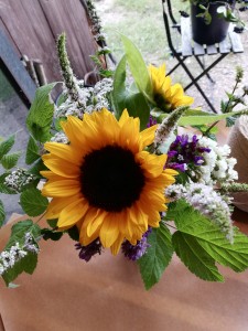 auringonkukka ja minttu